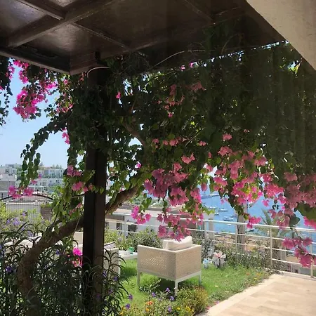 Zambak Garden With Pool Апартаменты *